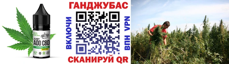 как найти   Тутаев  нарко площадка телеграм  Cannafood марихуана  hydra  