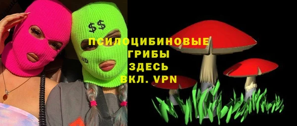 бошки Алексеевка