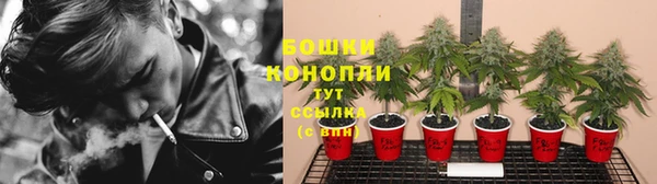 бошки Алексеевка