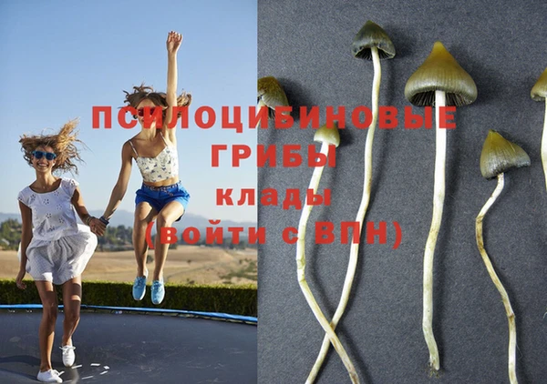 твердый Алексин