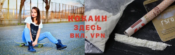 твердый Алексин