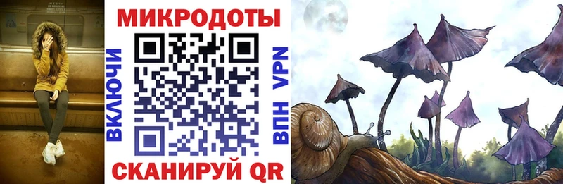 купить наркотики сайты Тутаев Псилоцибиновые грибы Cubensis